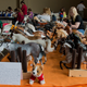 All Photo: Bryan Menegus/Gizmodo. A table of several model horse collections, ready for Friday’s live show.